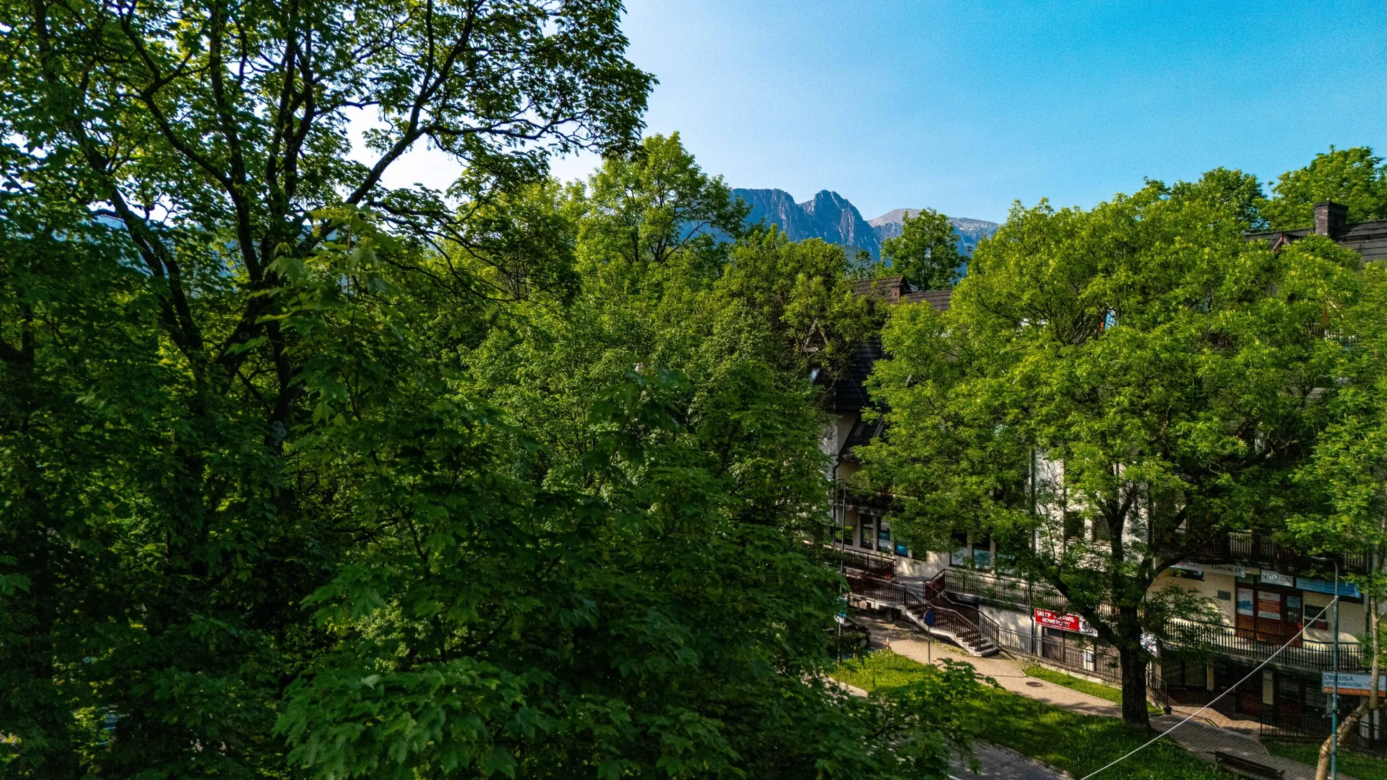 Giewont and Czerwone Wierchy above the trees by the apartment